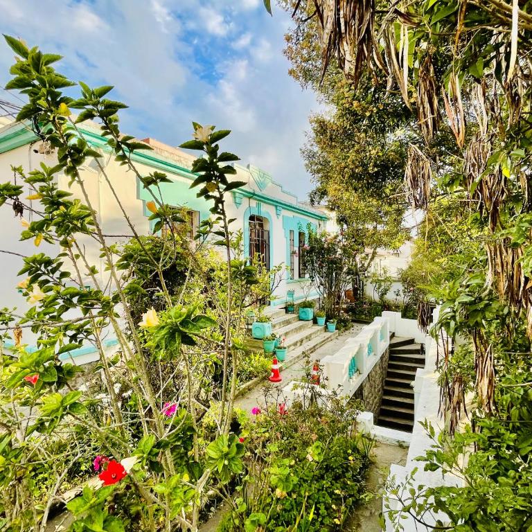 Clover house - Apartamento de 1 dormitorio - 7