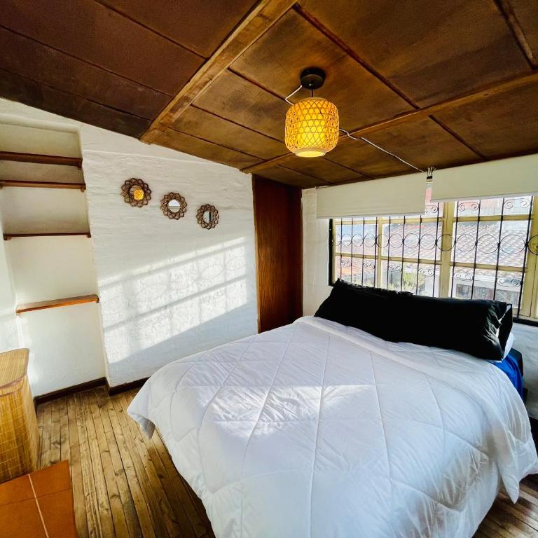 Clover house - Apartamento de 1 dormitorio - 1