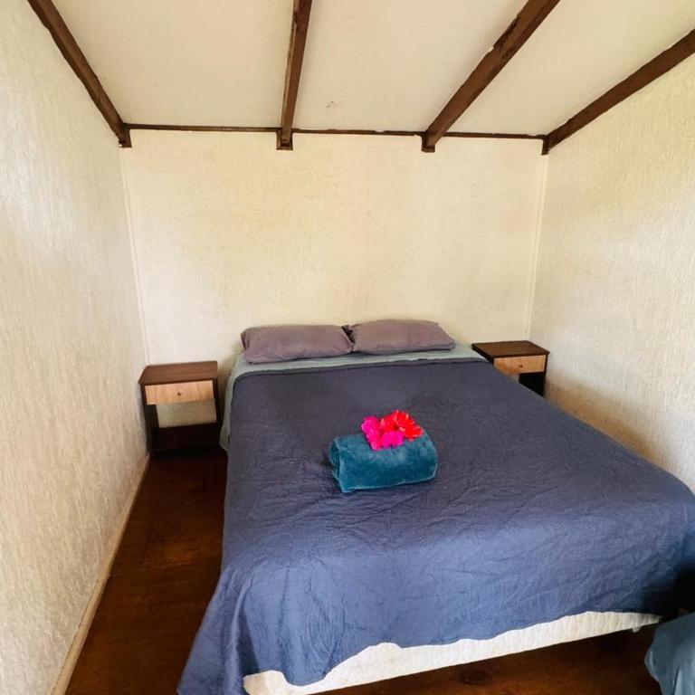 Mata Nui Eco hostel - Habitación Doble con baño privado - 6