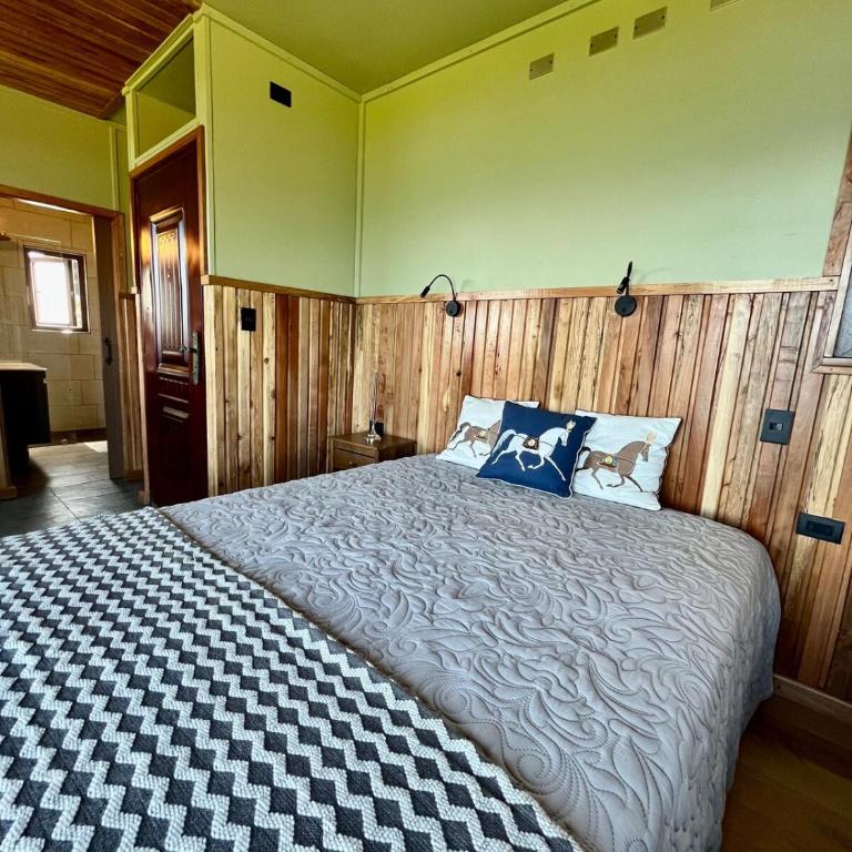 Panguipulli Bella Vista - One-Bedroom Apartment - 8