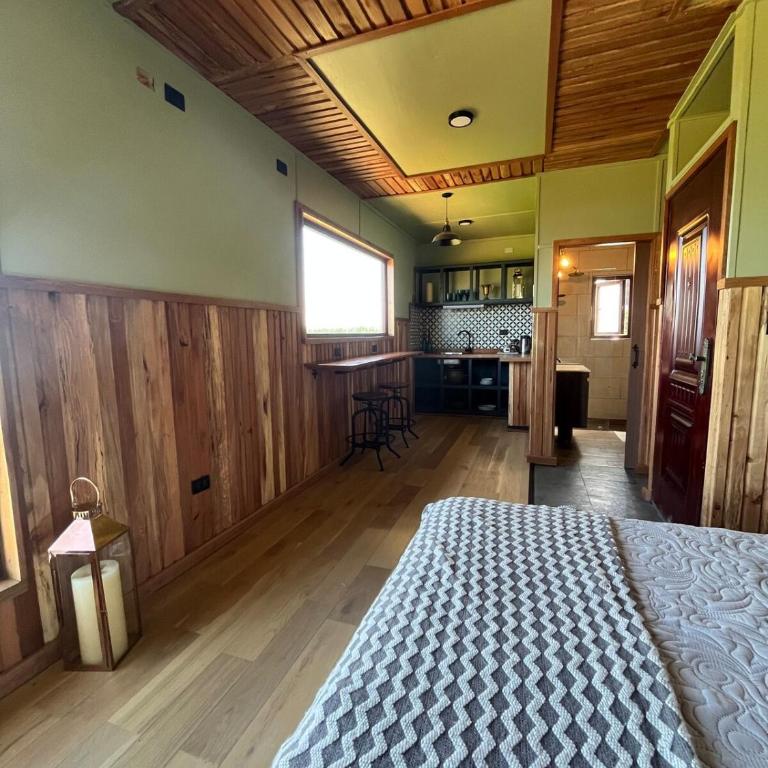 Panguipulli Bella Vista - One-Bedroom Apartment - 10