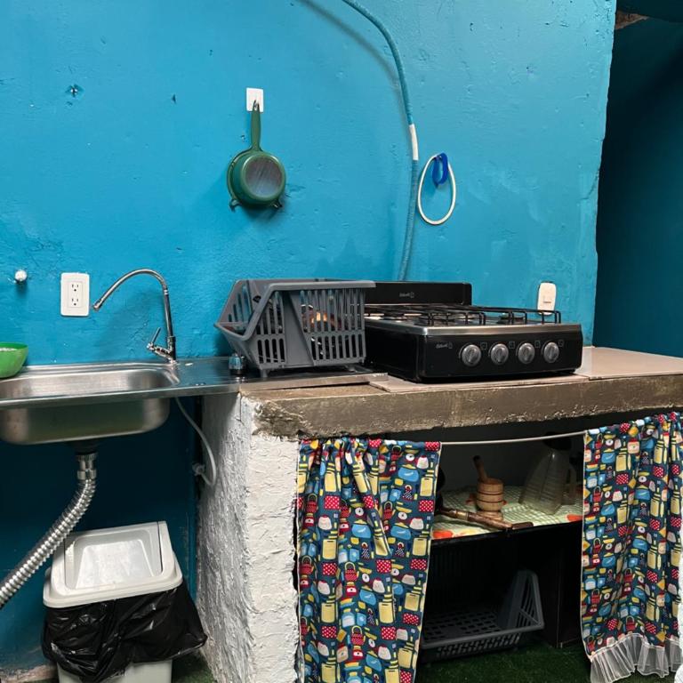 Pinck House - Apartamento de 2 dormitorios - 5
