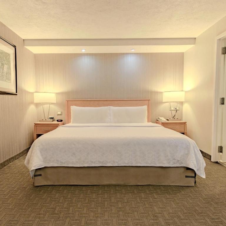 Holiday Inn Cuernavaca by IHG - Habitación Estándar - Cama extragrande - 1