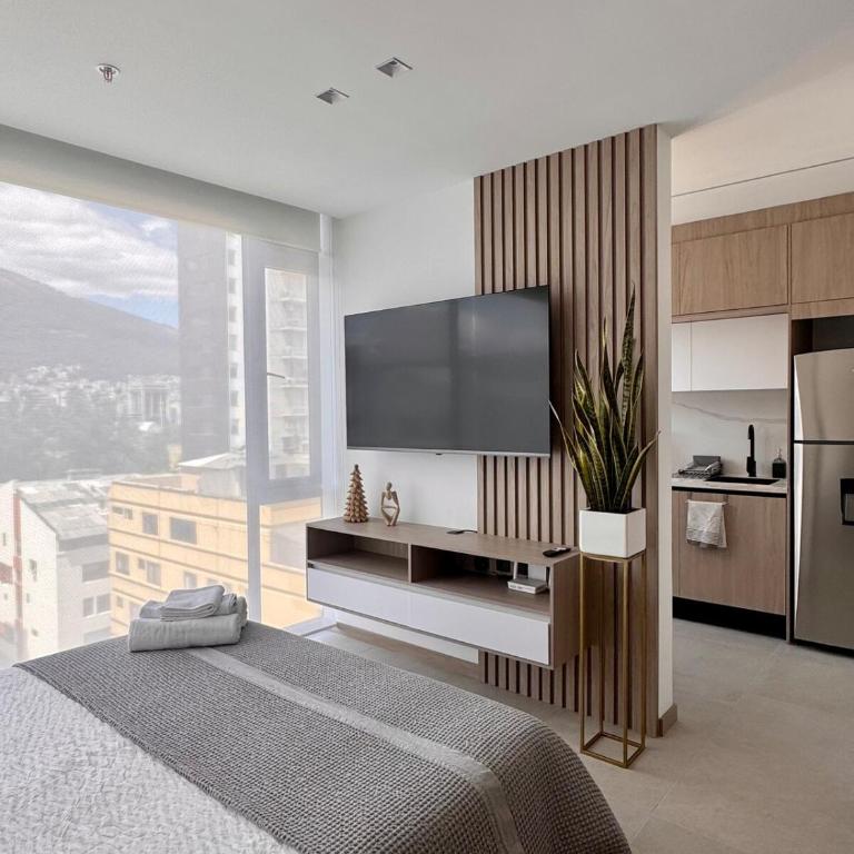 New Mini Suite, La Carolina - One-Bedroom Apartment - 4