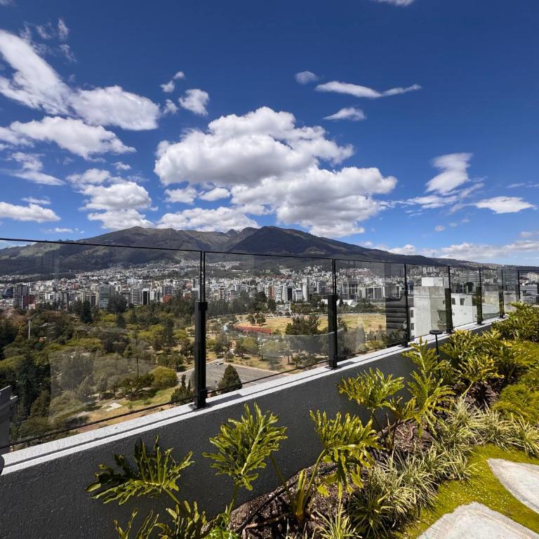 New Mini Suite, La Carolina - One-Bedroom Apartment - 22