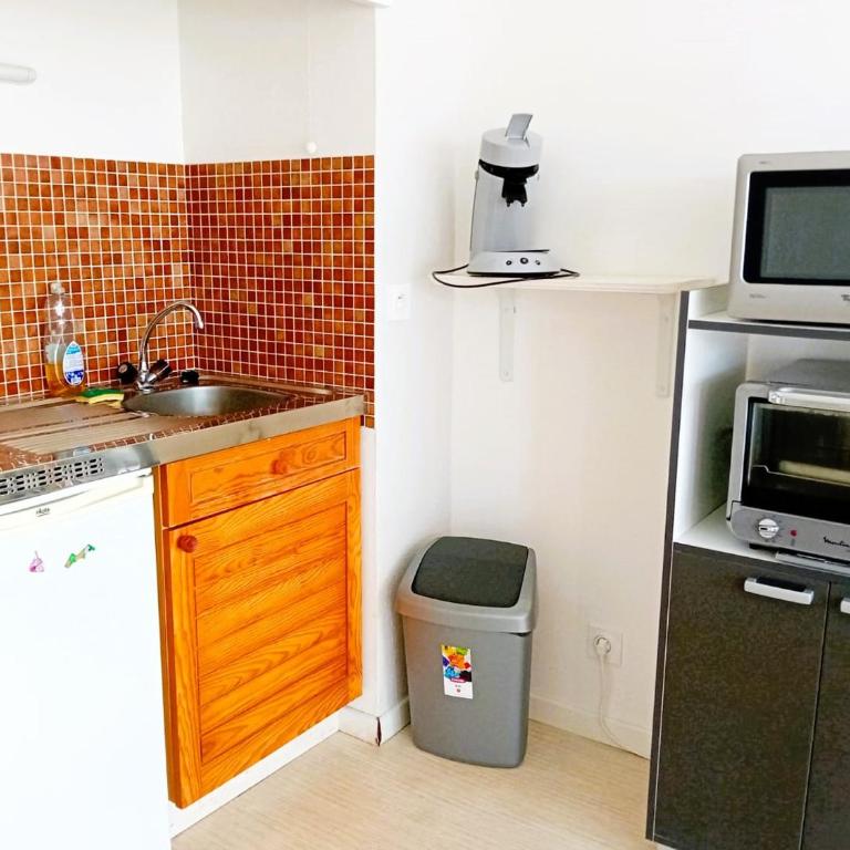 Studio avec terrasse et parking à deux pas des plages - FR-1-239-563 - Appartement 1 Chambre - 6