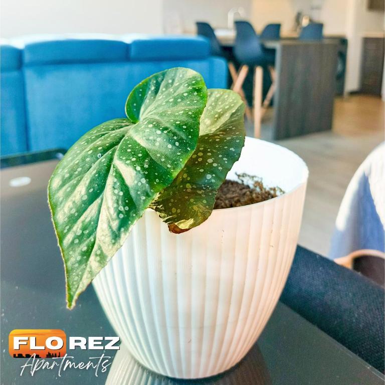 FLOREZ APT7 - Moderno, céntrico con calefacción - Piso 18 - Apartamento de 1 dormitorio - 7