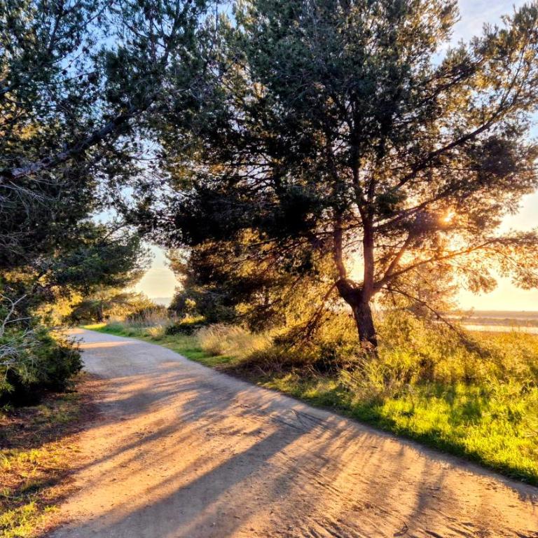 50 m2 - Le PORT, HYERES - Appartement 1 Chambre - 21