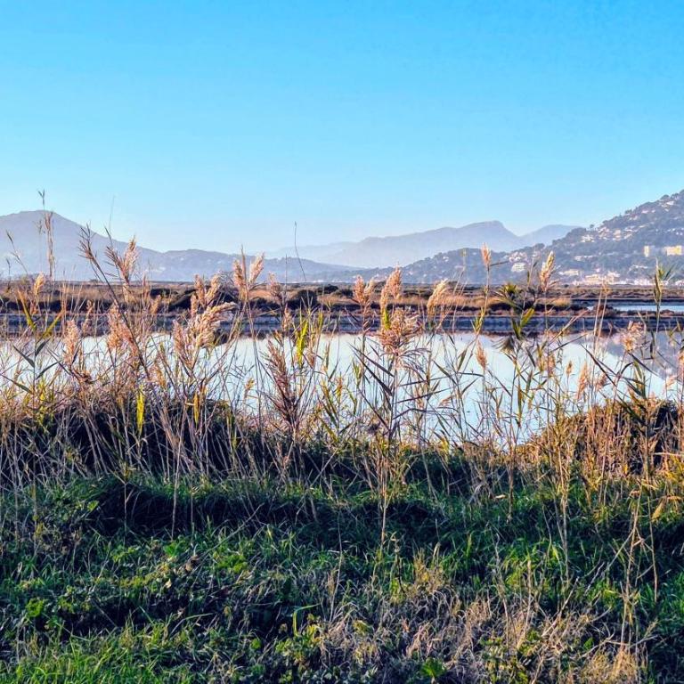 50 m2 - Le PORT, HYERES - Appartement 1 Chambre - 22