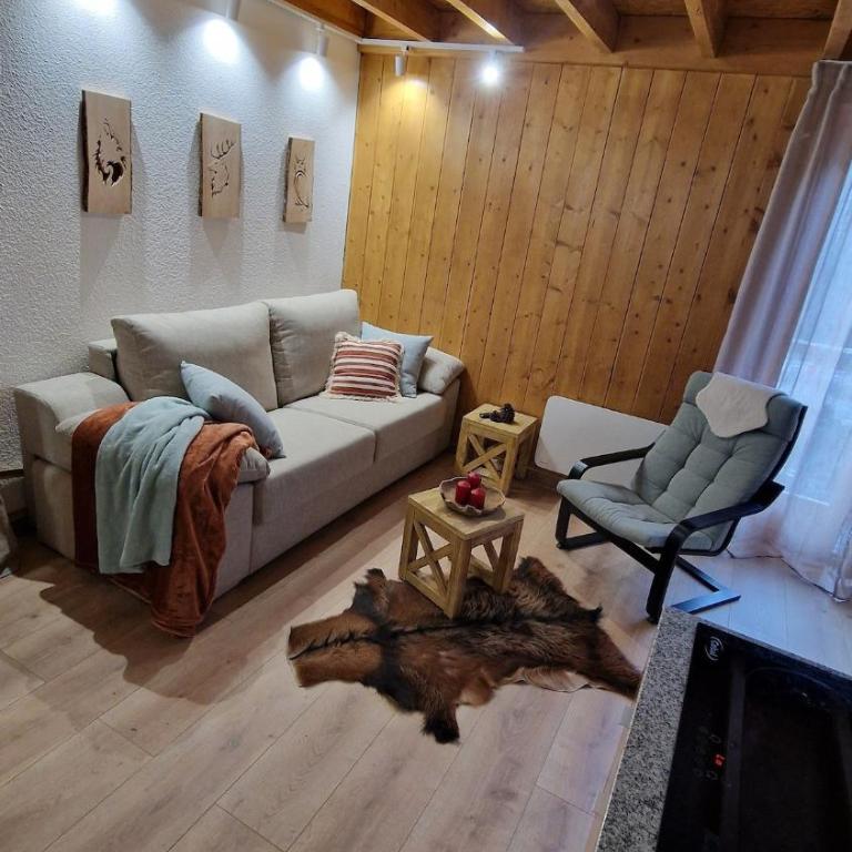 Apartement Les Fermes de St Sorlin F204 - Appartement 2 Chambres - 3