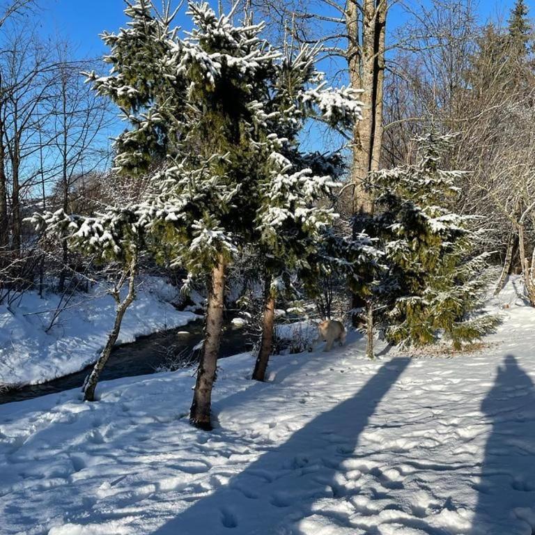 Ferienhaus Biberweg im Feriendorf Reichenbach 13 - Haus mit 2 Schlafzimmern - 9