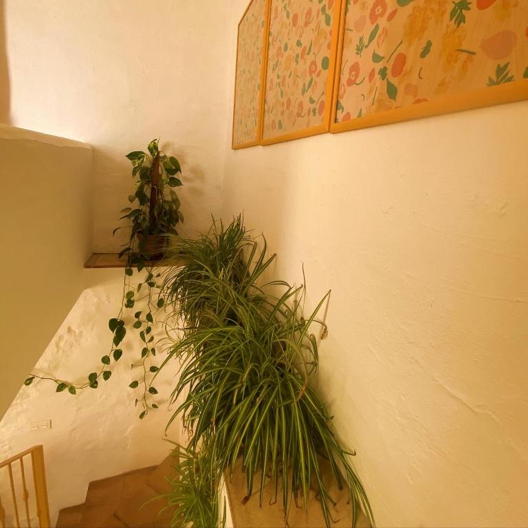 Romantic Ronda garden cottage - Apartamento de 1 dormitorio - 26