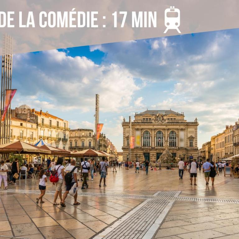 Le Chic Urbain - Hôpitaux Facultés - Chateau d'Ô - Free Parking - Apartment mit 1 Schlafzimmer - 31