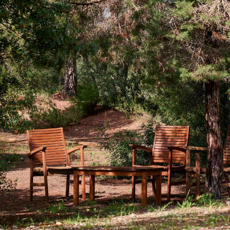 CAN COLL DES COCONS BAREFOOT HOUSE 5MIN FROM PACHA - Villa - 34