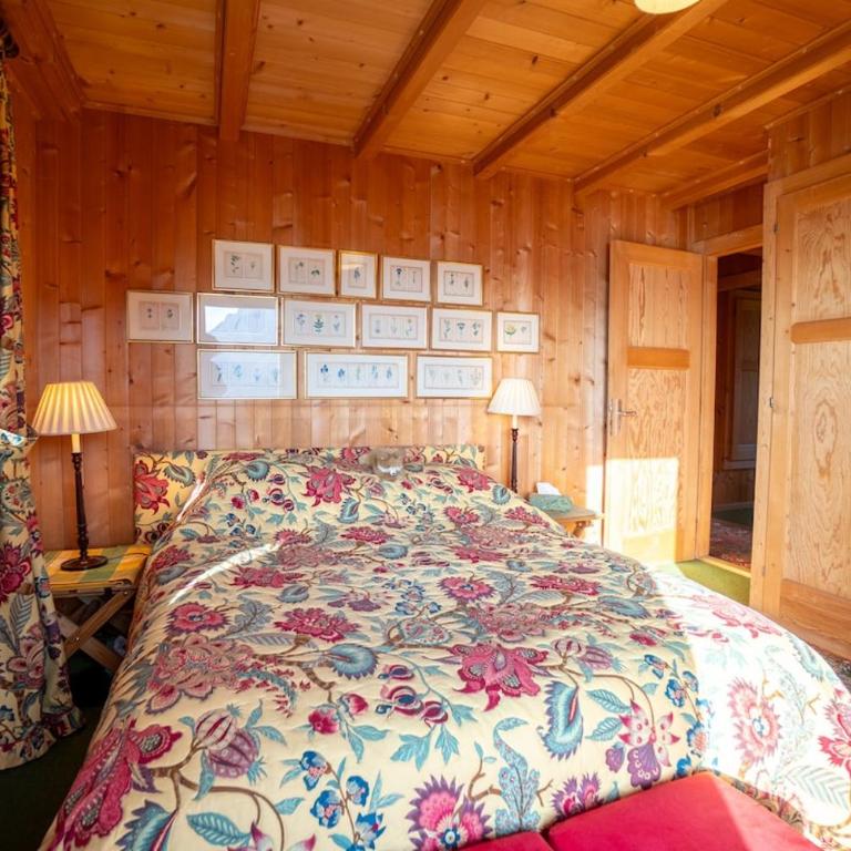 Chalet Bouquetins 7 personnes ski in ski out - Chalet - 7