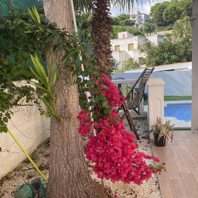 Home with view and swimming pool - Villa - 5