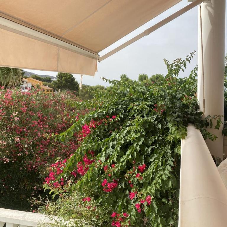 Home with view and swimming pool - Villa - 15