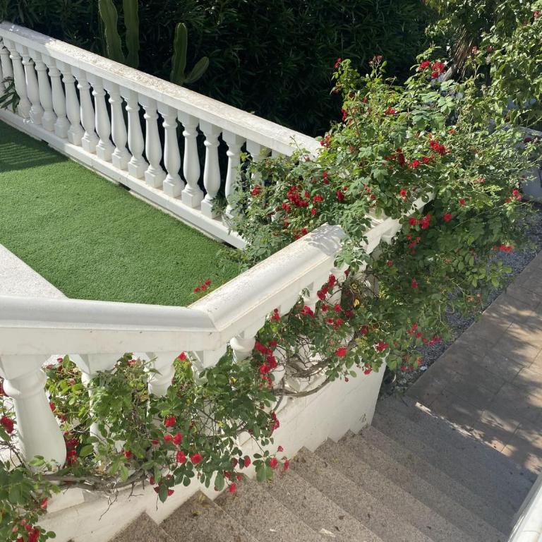 Home with view and swimming pool - Villa - 34