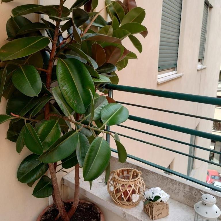 102 DreamHouse metropolitana B Libia - Apartment mit 2 Schlafzimmern und Balkon - 25