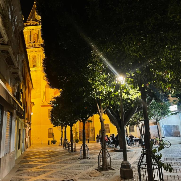 RT74 Calle Rodrigo de Triana con opción de parking - Apartamento de 2 dormitorios - 49