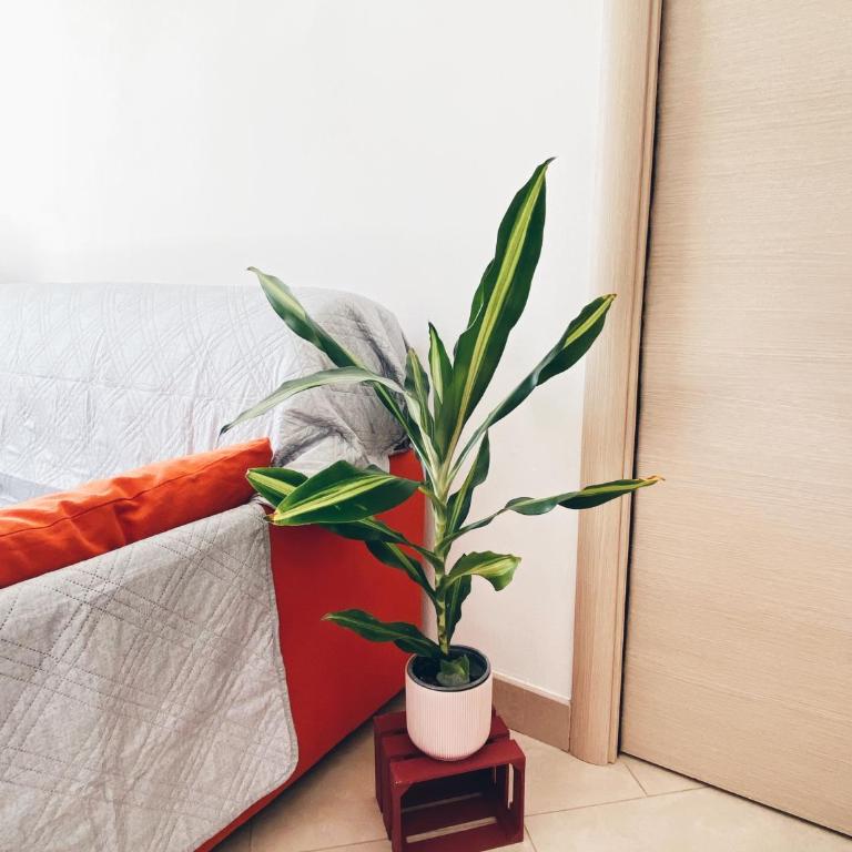 Apartment in Siena with private parking - Appartamento con 1 Camera da Letto - 10