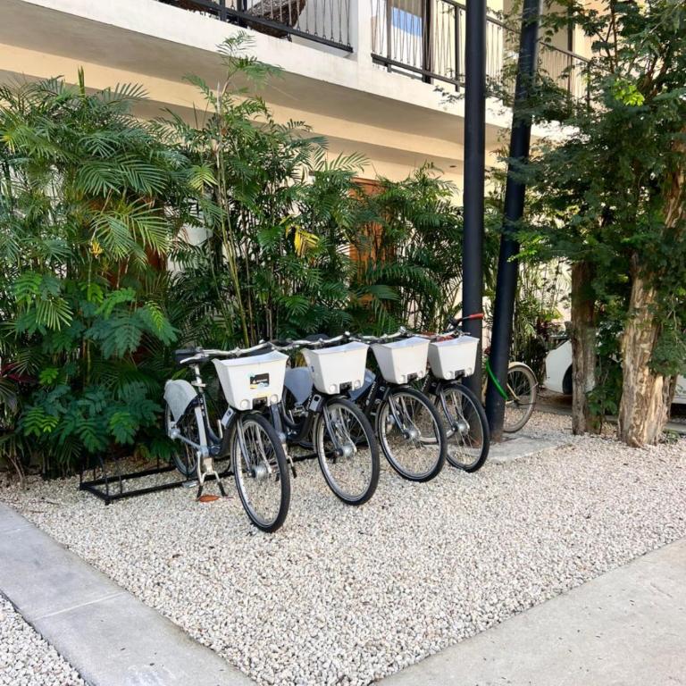 2 BR with Direct Walk-out to Pool, Sauna, and Gym - Apartment - 62