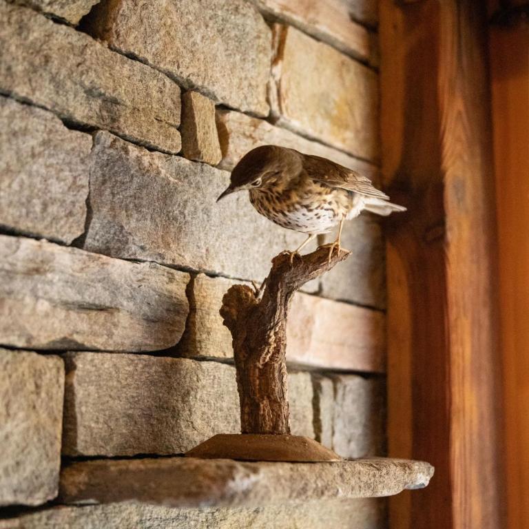 Chalet "Chez le petit Jean" - Chalet - 16