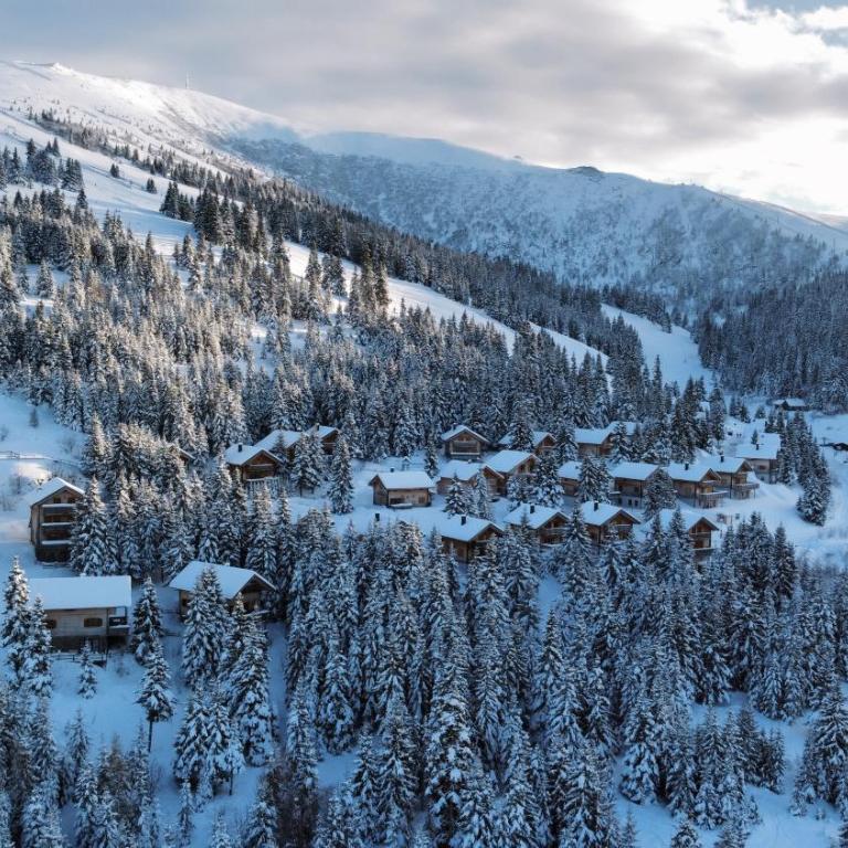 1A Chalet Koralpenrast - Wandern, Grillen mit Aussicht - Haus mit 3 Schlafzimmern - 30