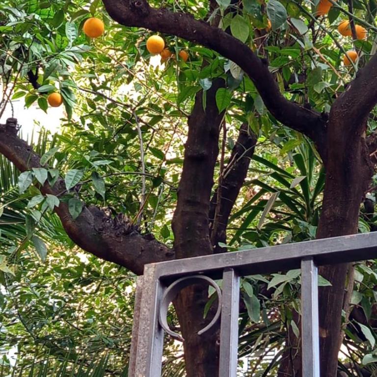 Appartement familial au coeur de Rome - Appartamento con 2 Camere da Letto - 4