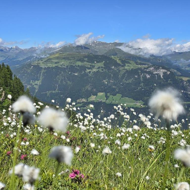 Alpenchalet Zillertal - Apartment mit 2 Schlafzimmern und Terrasse - 21