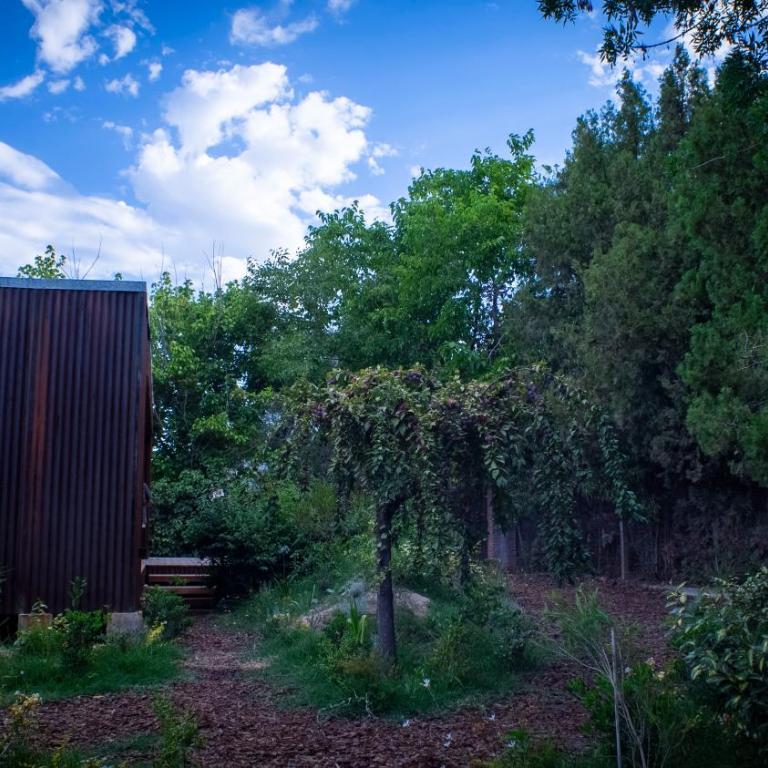 Las Nandinas - Ciruelo - Apartamento de 1 dormitorio - 27