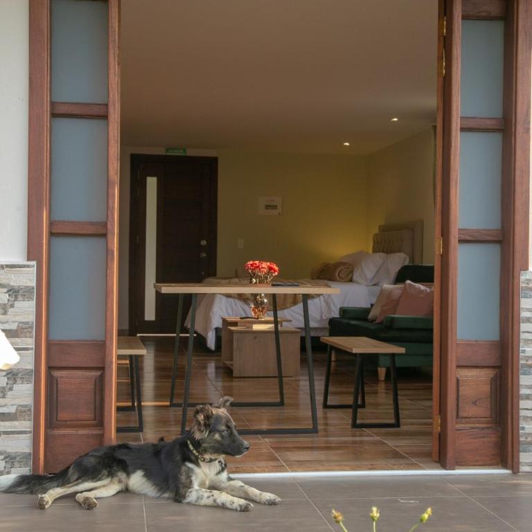 Loft para grupos parqueadero gratis lirio - Apartamento de 1 dormitorio - 23