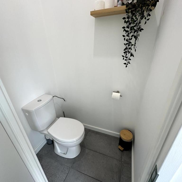 Appartement L'escale à Vienne - Appartement avec Terrasse - 18