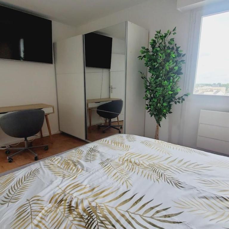centre ville, T2, superbe vue, parking privé - Appartement 1 Chambre - 4