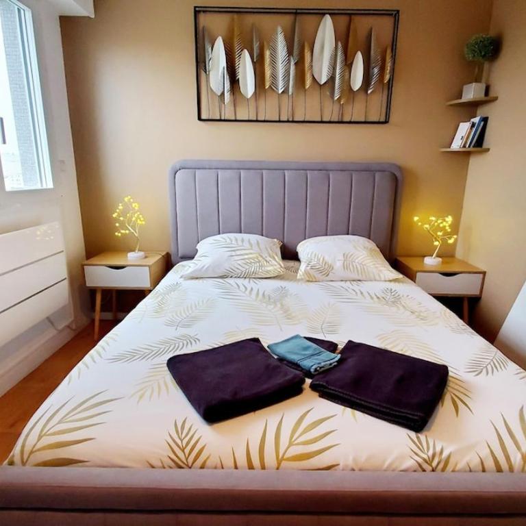 centre ville, T2, superbe vue, parking privé - Appartement 1 Chambre - 2