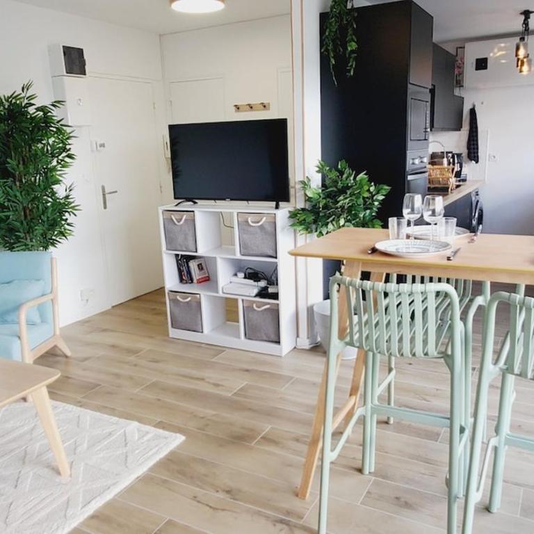 centre ville, T2, superbe vue, parking privé - Appartement 1 Chambre - 17