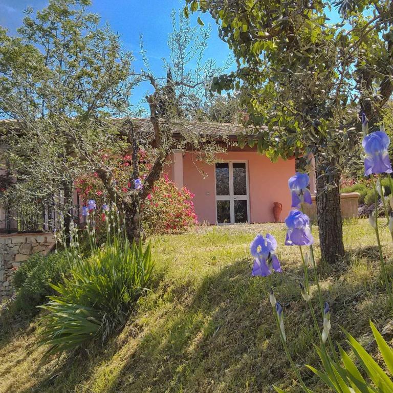 Tuscany Roses - Villa con Piscina Privata - 18