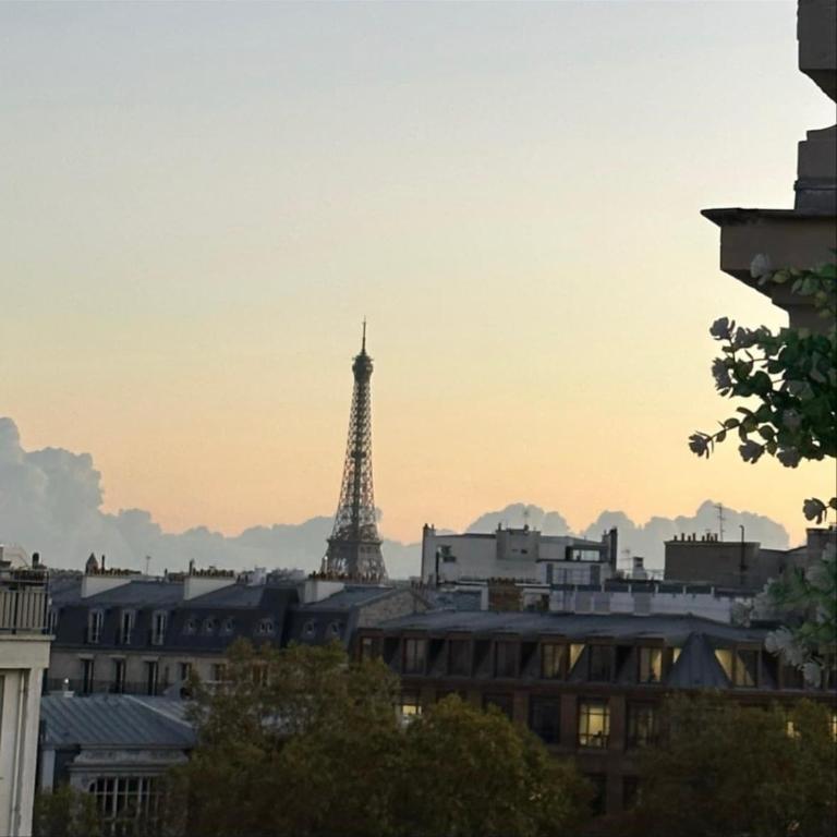 Eiffel Tower view Arc Triomphe Champs Elysées area - Appartement 1 Chambre - 15