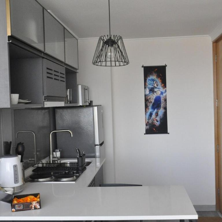 Dragon Ball magic appartment - One-Bedroom Apartment - 1