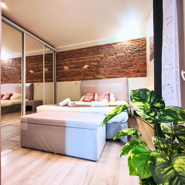 Cocoon'Inn Daurade - Appartement - 20