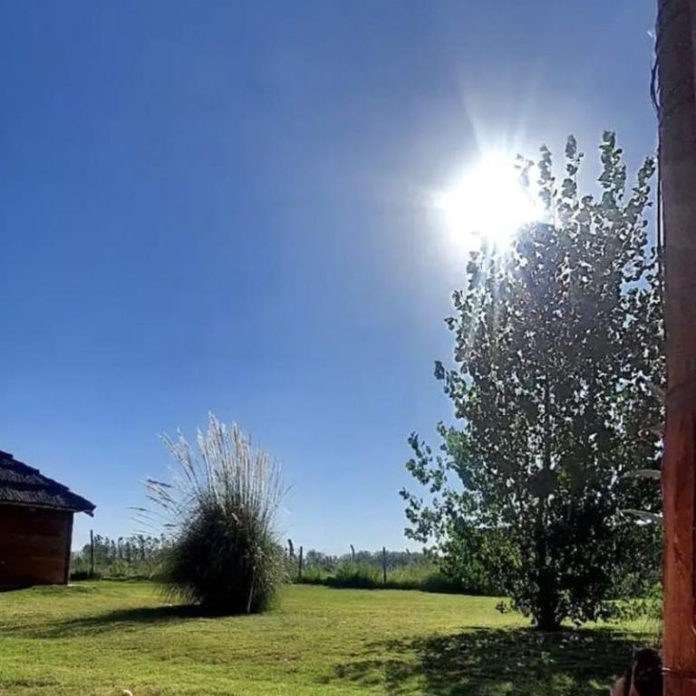 Casa de Teo - Casa de 4 dormitorios - 22