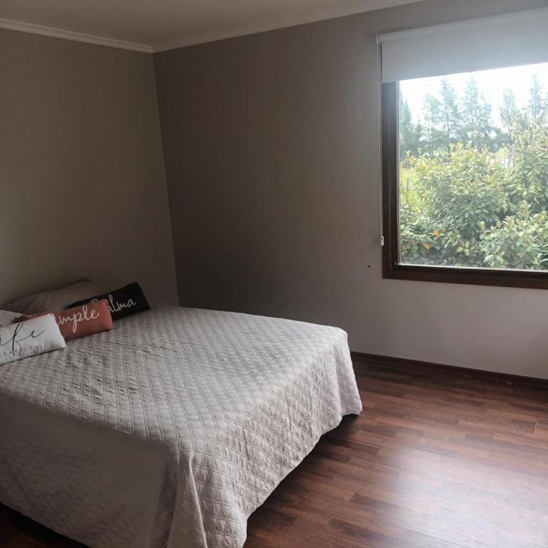 Tomy - Three-Bedroom House - 11