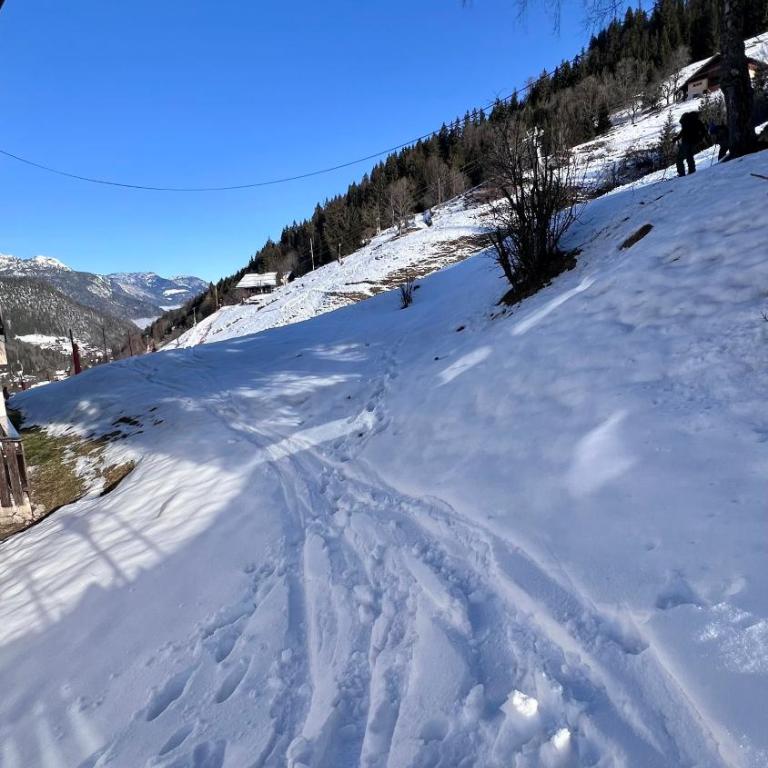 Cocon alpin rénové - Accès direct aux pistes - Appartement 2 Chambres avec Vue sur la Montagne - 16