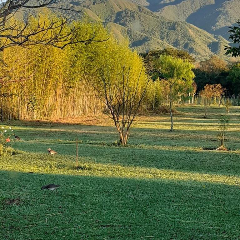 Casa de Campo LA ALDEA - Two-Bedroom House - 4