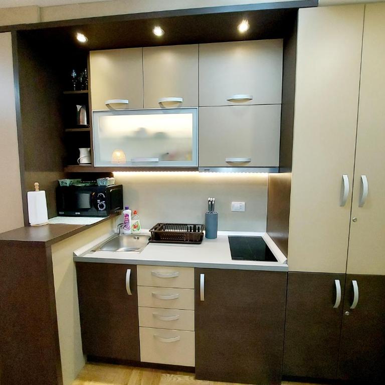 Apartman Maslačak Vrnjačka Banja - Apartman sa 1 Spavaćom Sobom - 16