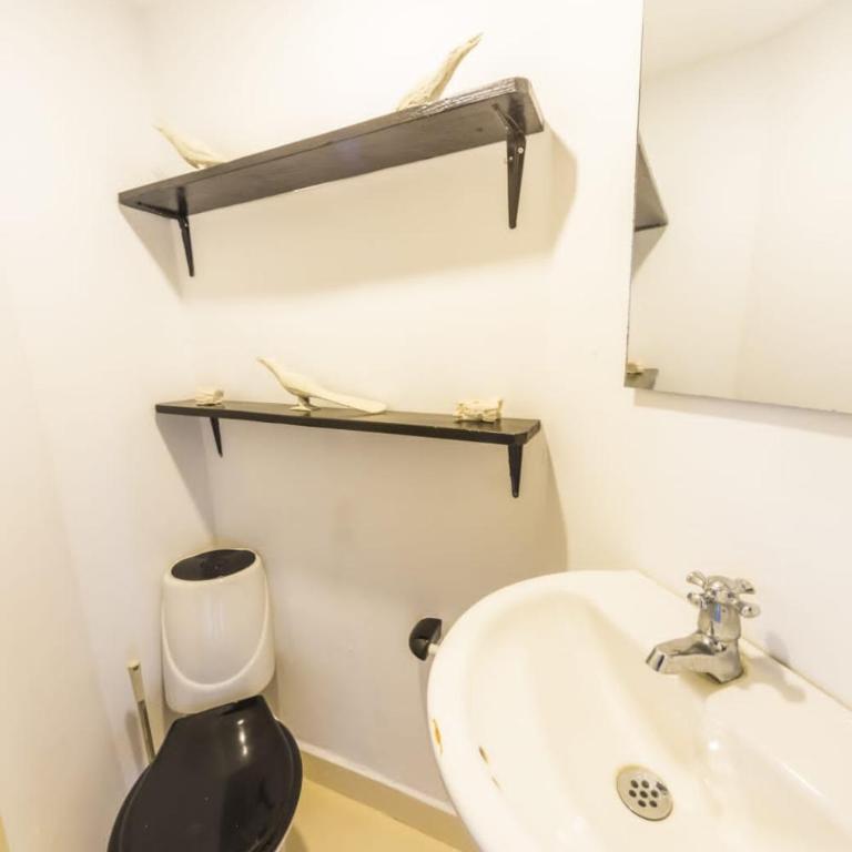 Auaecoco Hotel - Apartamento - 2