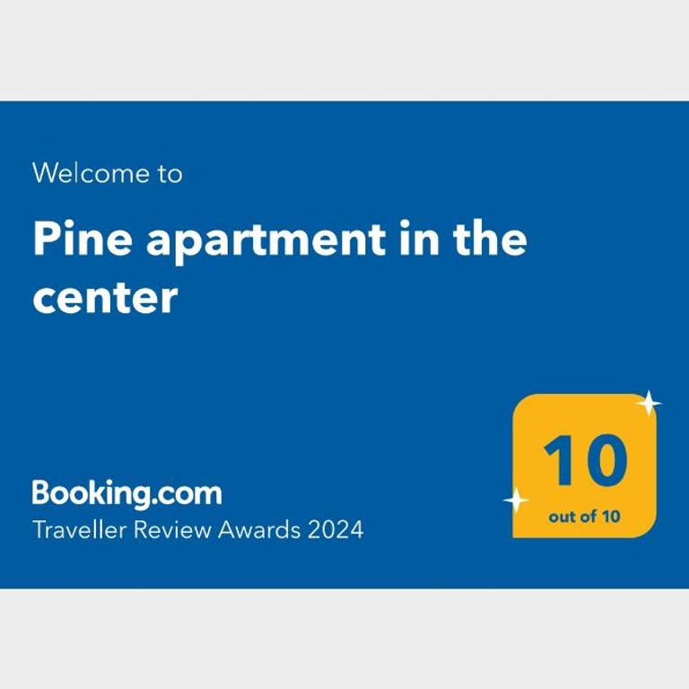 Pine 1 apartment in the center - One-Bedroom Apartment - 5