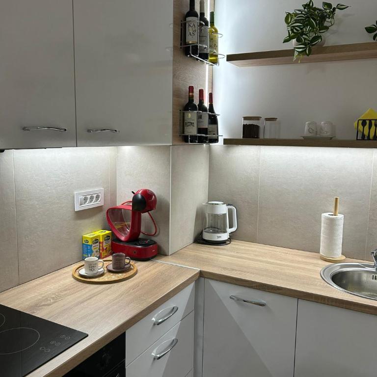 NS Apartman FREE PARKING - Apartman sa 1 Spavaćom Sobom - 14