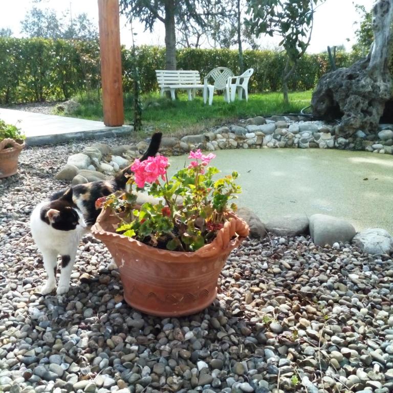 DIMORA ANTONIANNA in VALLE D'ITRIA - Casa Vacanze - 20