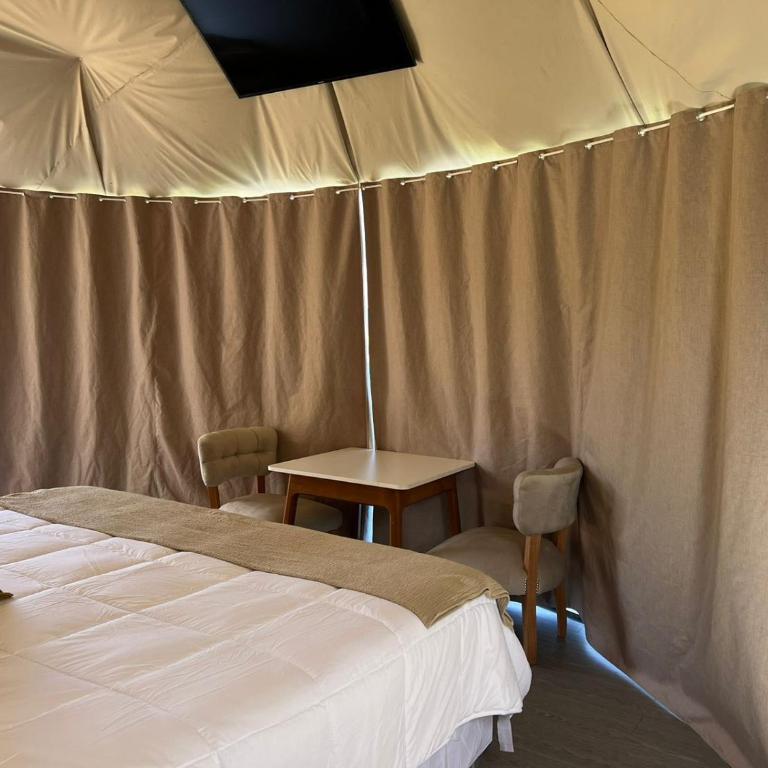 GLAMPING CACHI EL PARAISO DE NALA - Tienda - 2
